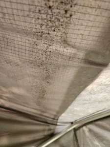 DACHZELT DORF Season Sale Dachzelt Abverkauf Dachzeltnomaden