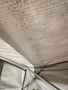 DACHZELT DORF Season Sale Dachzelt Abverkauf Dachzeltnomaden