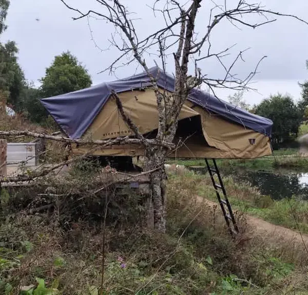 DACHZELT DORF Furtwangen Wooden Wumms VICKYWOOD Big Willow 180 Dachzelt Abverkauf