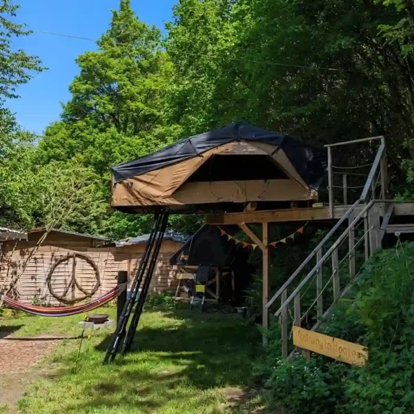 Dachzelt Dorf Thulba VICKYWOOD Klappdachzelt Big Willow 220 Season Sale
