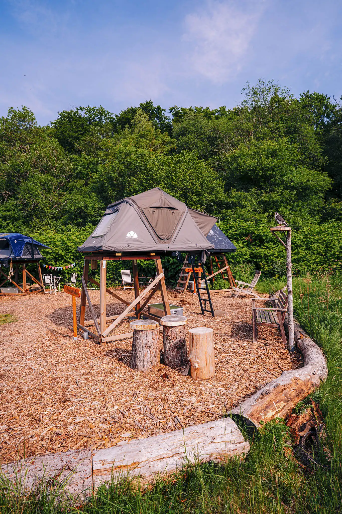 Dachzelt Dorf Freilingen ROOF SPACE Dachzelt ROOF SPACE 2 Season Sale