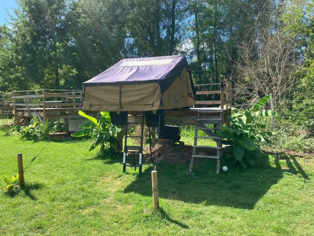 DACHZELT DORF Rülzheim Season Sale VICKYWOOD BIG WILLOW 180 Dachzelt