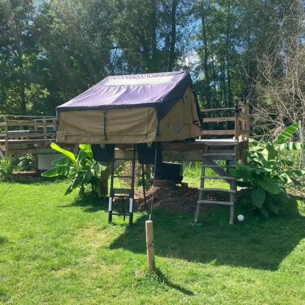 DACHZELT DORF Rülzheim Season Sale VICKYWOOD BIG WILLOW 180 Dachzelt