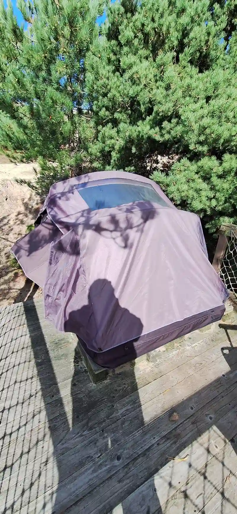 punii moenga s gebraucht kaufen season sale dachzelt dorf amrum