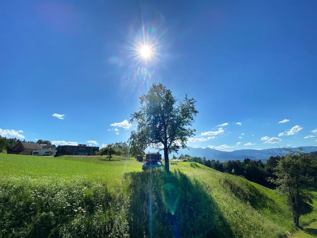 dachzelt unter baum geparkt sonne blauer himmel wiese gruen