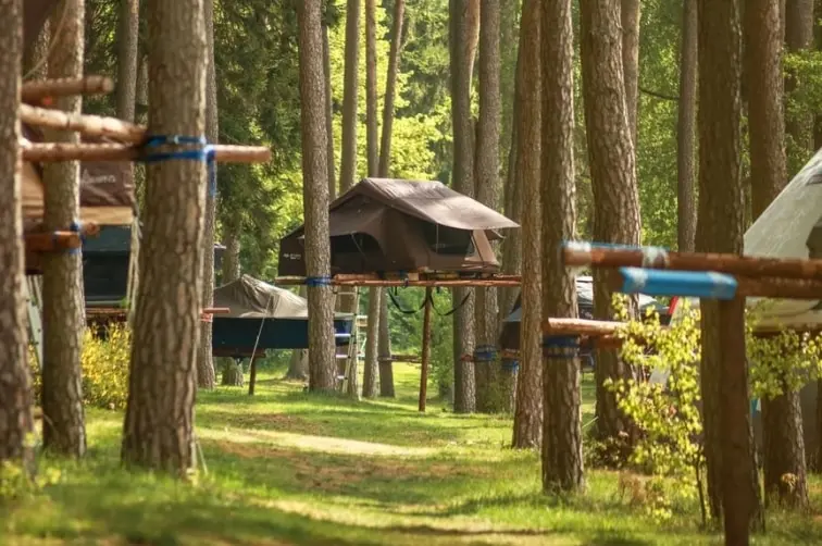 Dachzelte in Bäumen im Dachzelt dorf