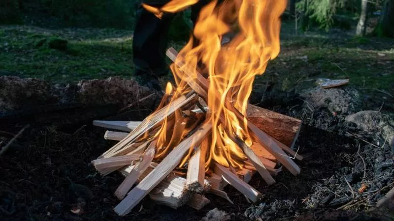 Feuer holz