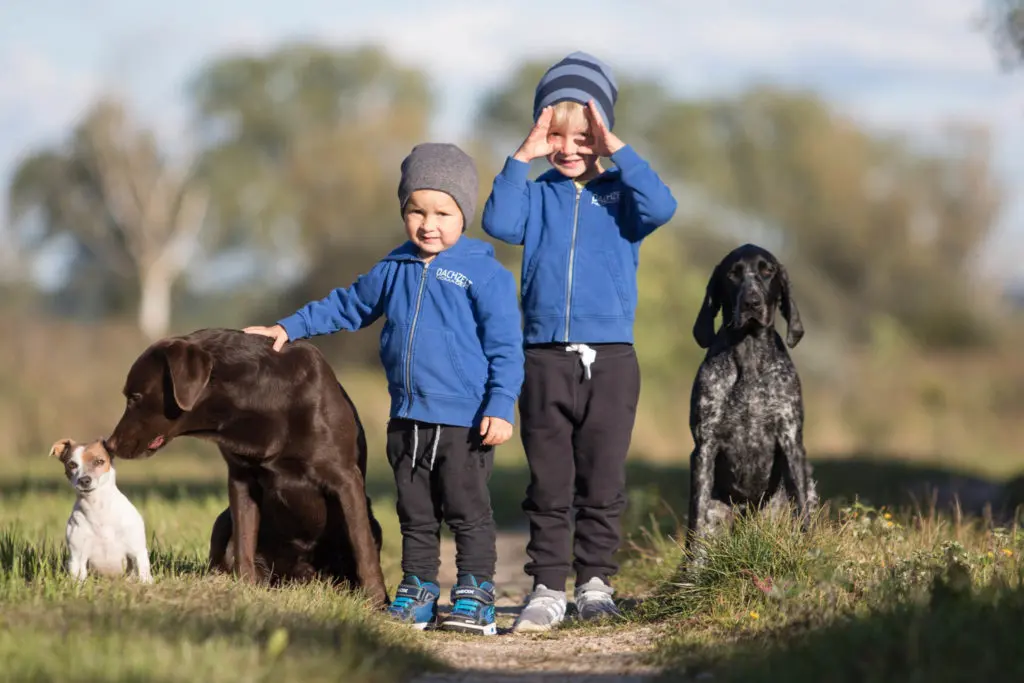 Kinder mit Hunden in der Natur