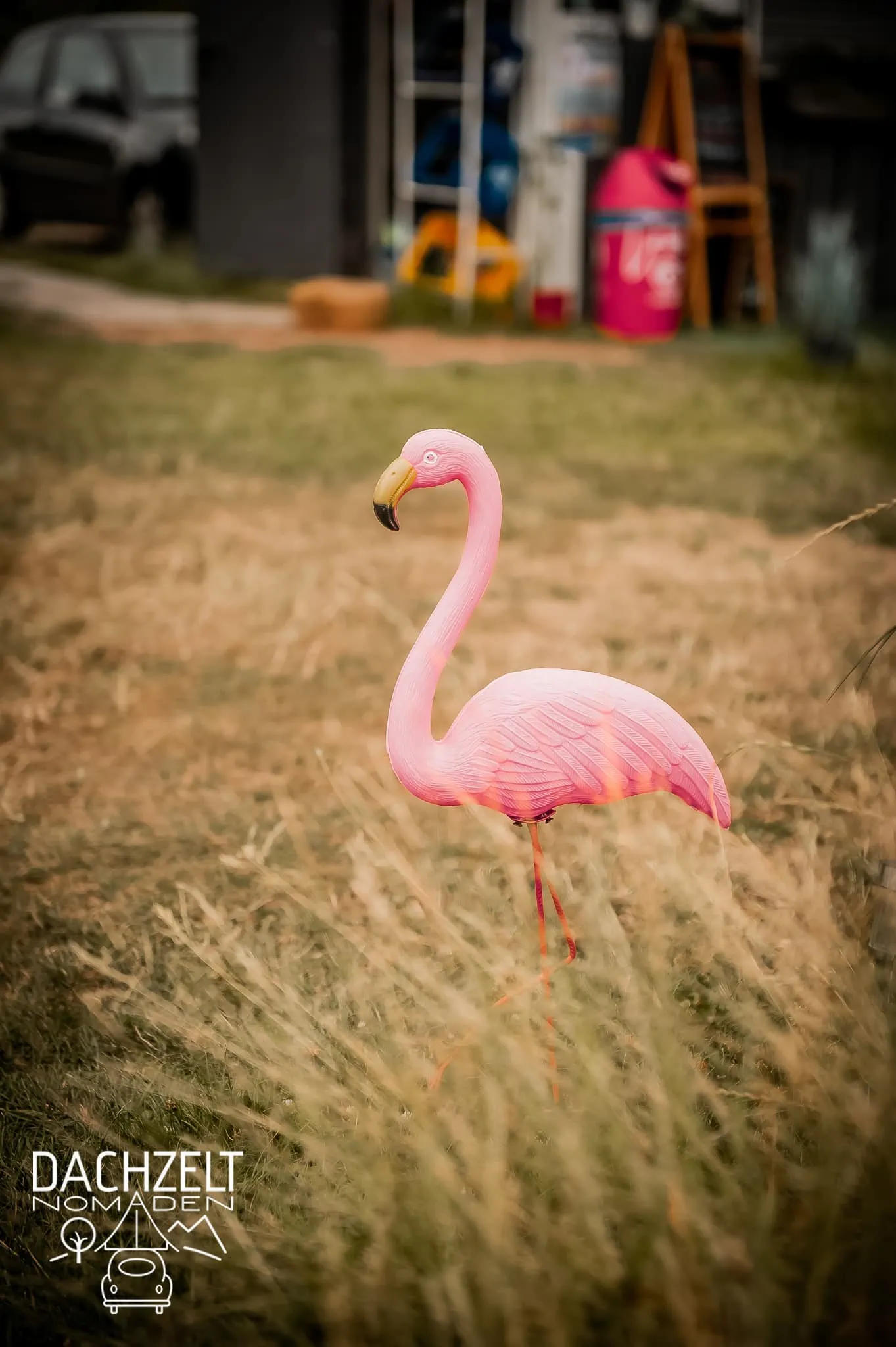 DACHZELT POPUP Nordhessen 2022