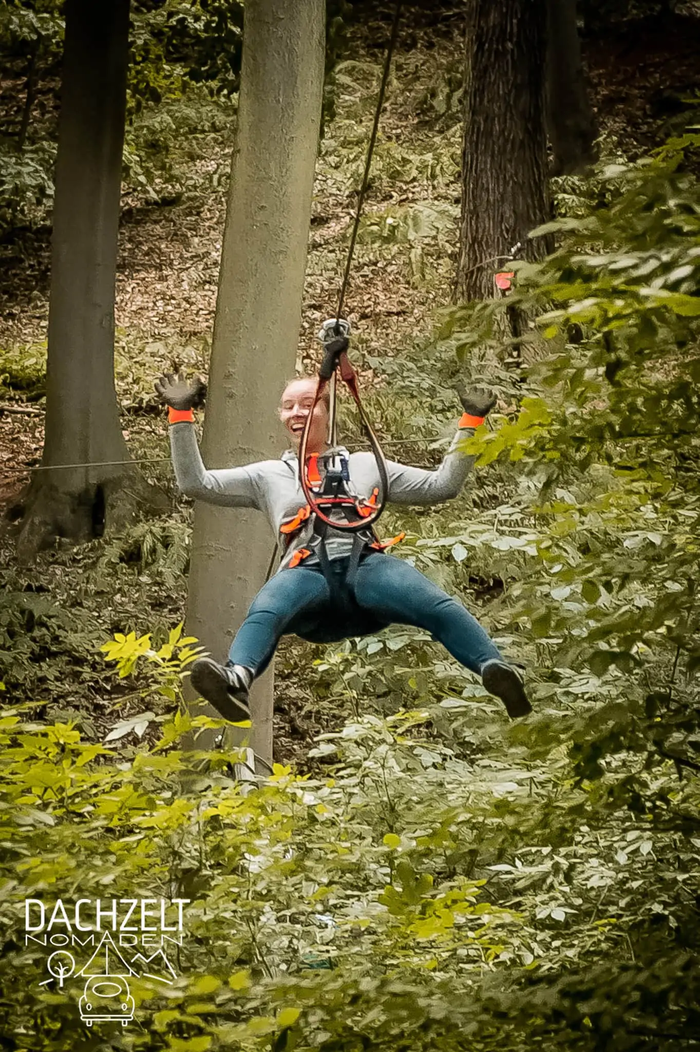 DACHZELT POPUP Nordhessen 2022