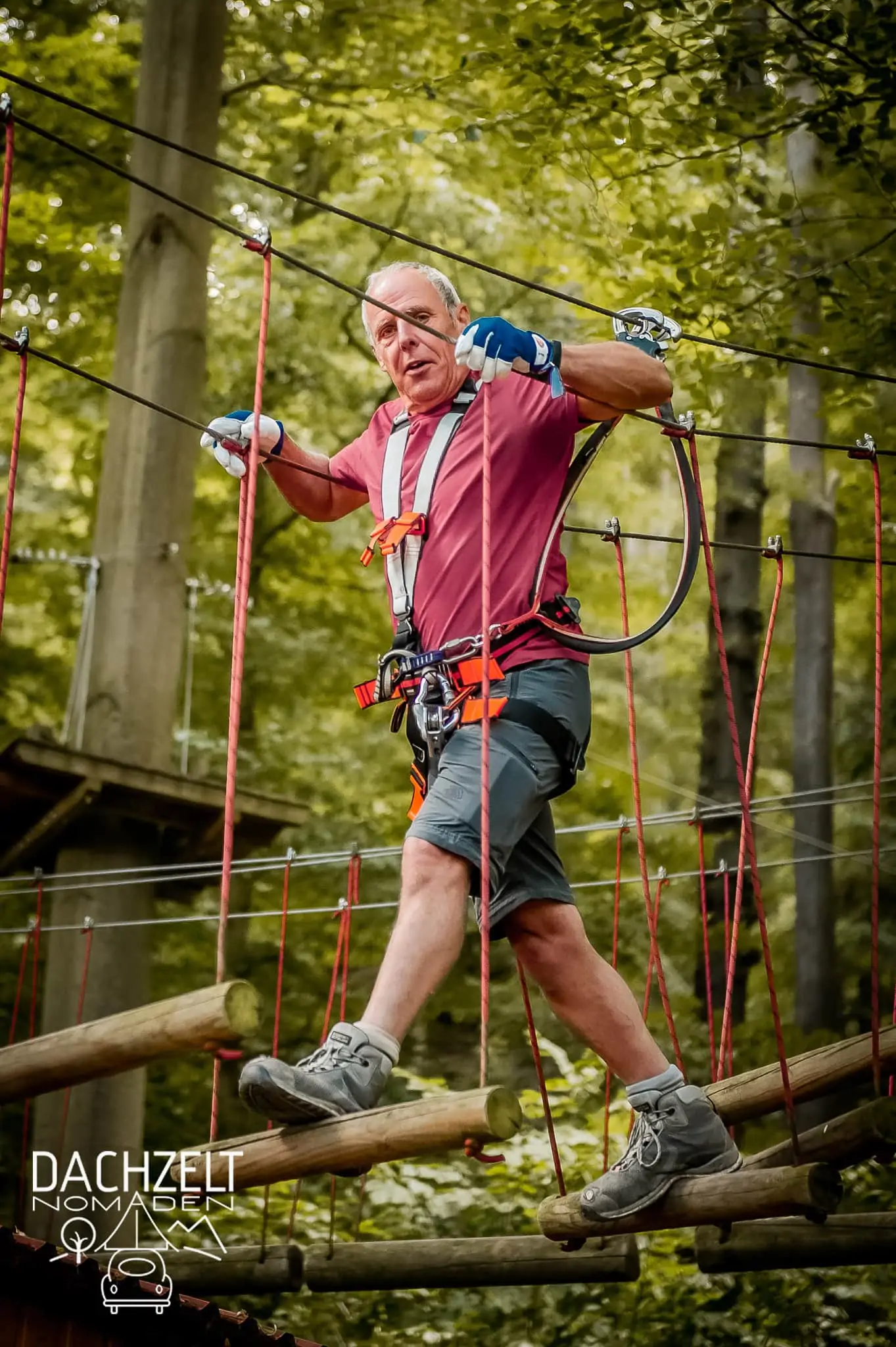 DACHZELT POPUP Nordhessen 2022