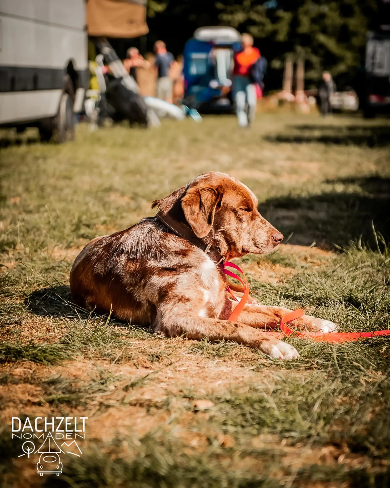 DACHZELT POPUP Nordhessen 2022