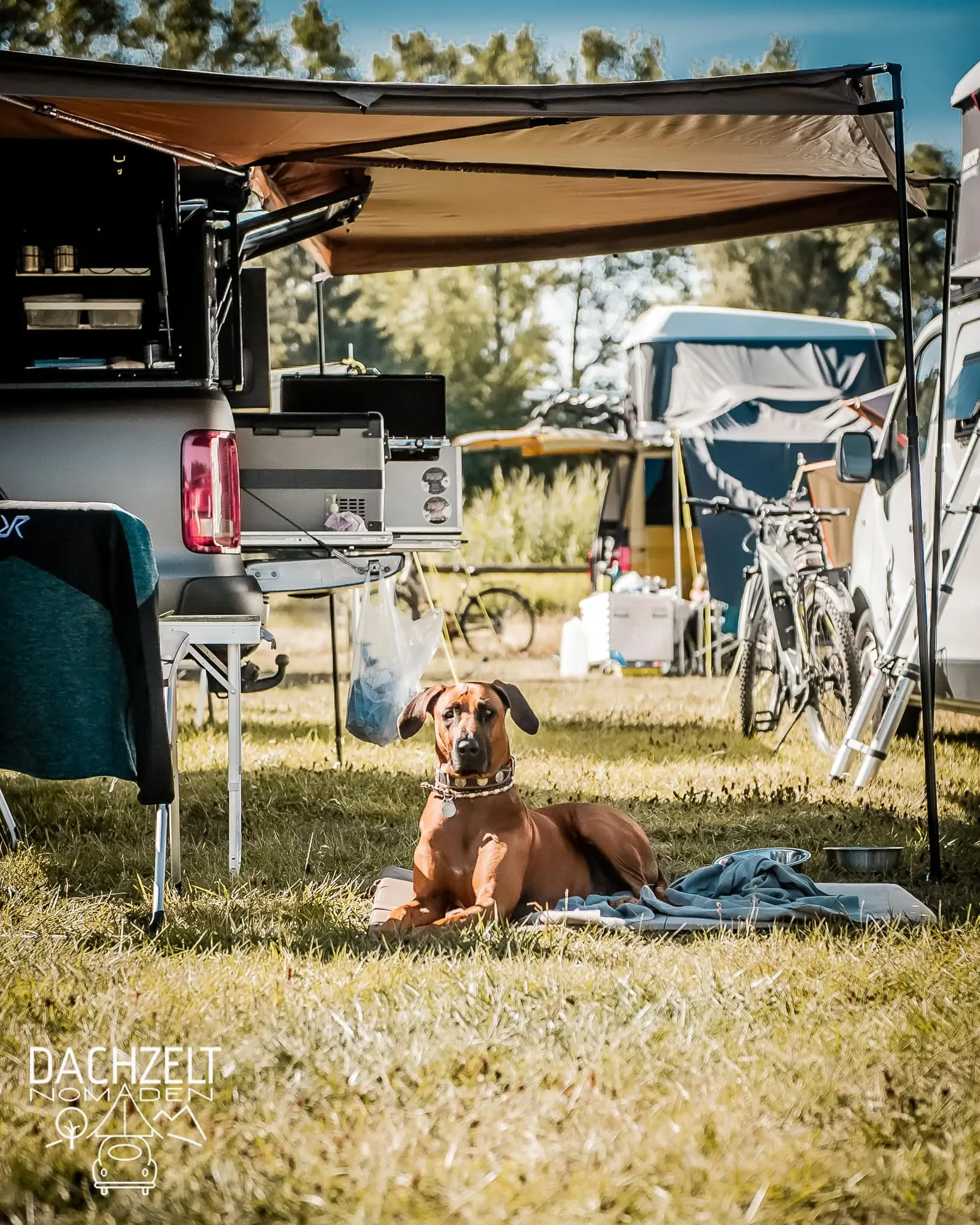 DACHZELT POPUP Nordhessen 2022