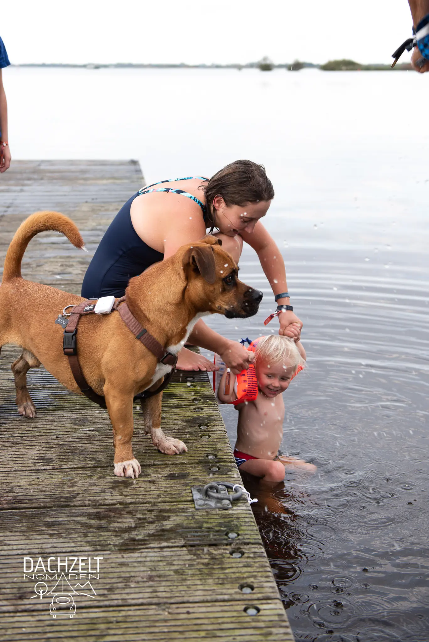 DACHZELT CAMP Speciaal 2019
