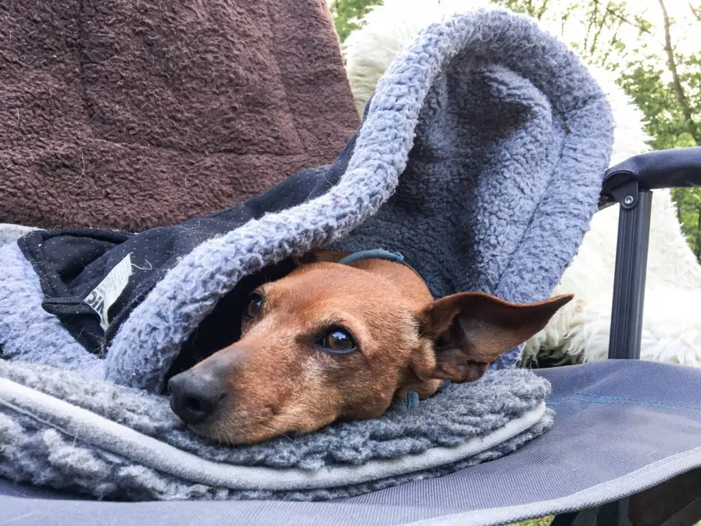 DACHZELT CAMP Frankenroda 2018