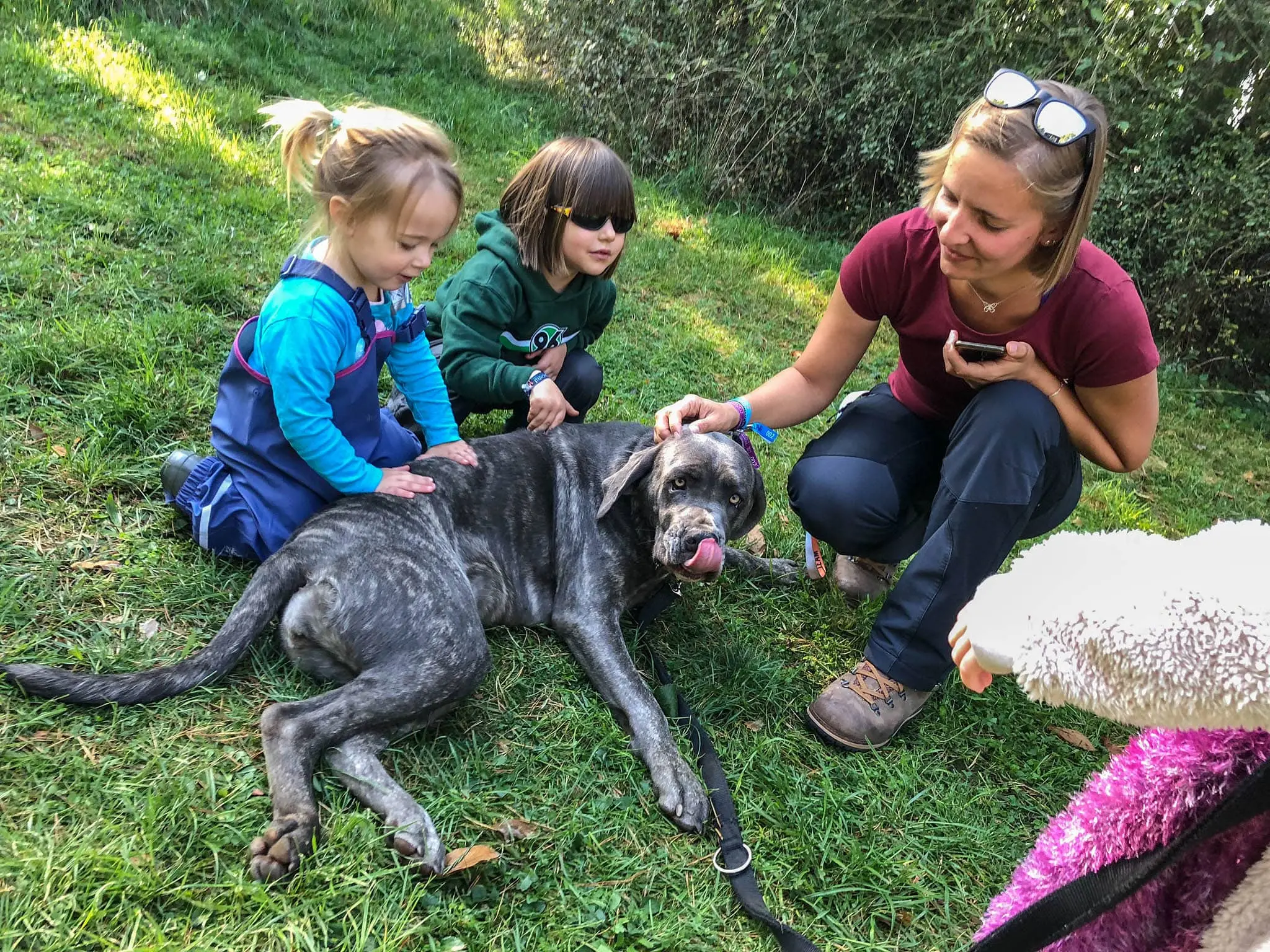 DACHZELT CAMP Altmühltal 2018