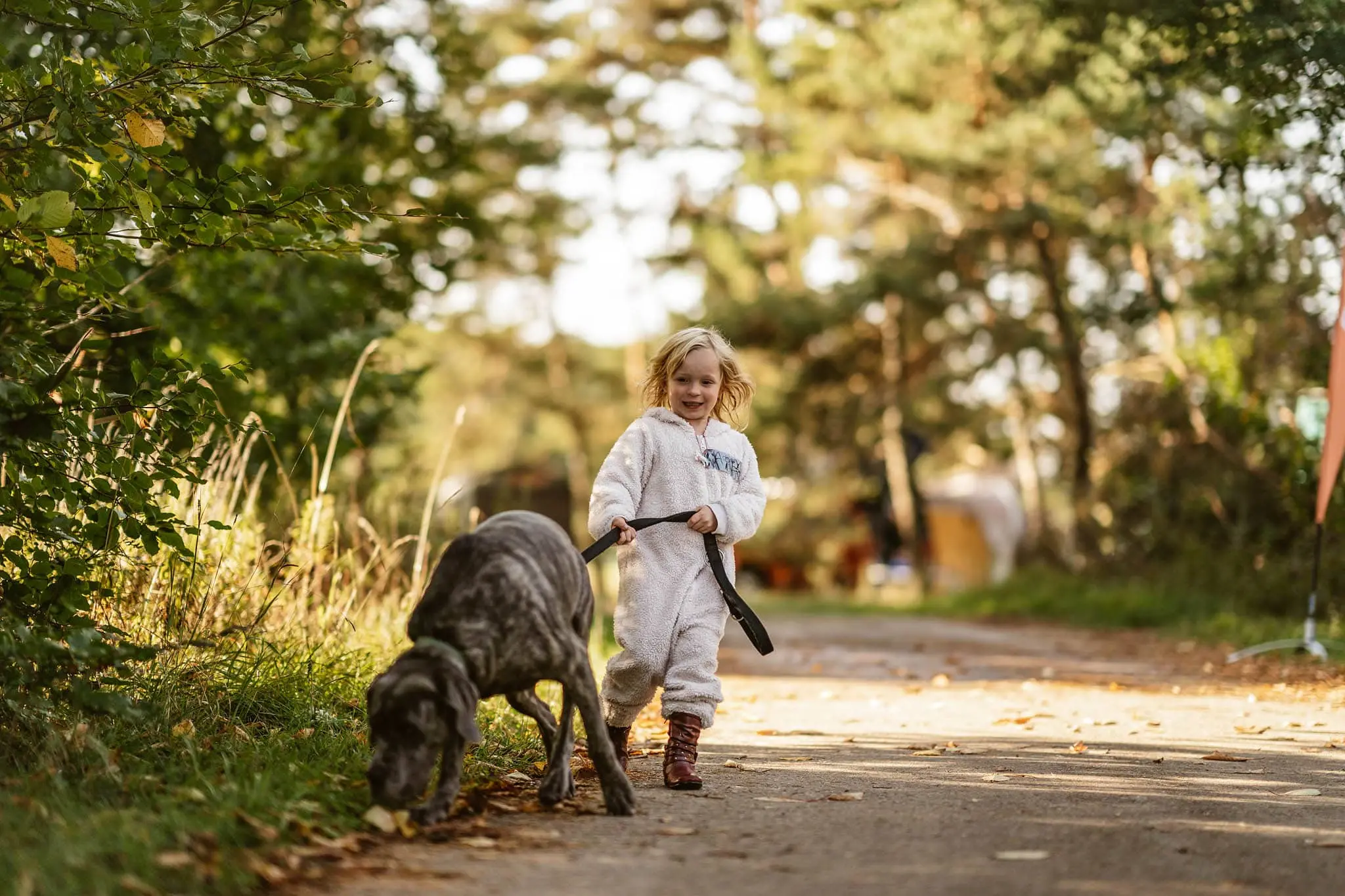DACHZELT CAMP Altmühltal 2018