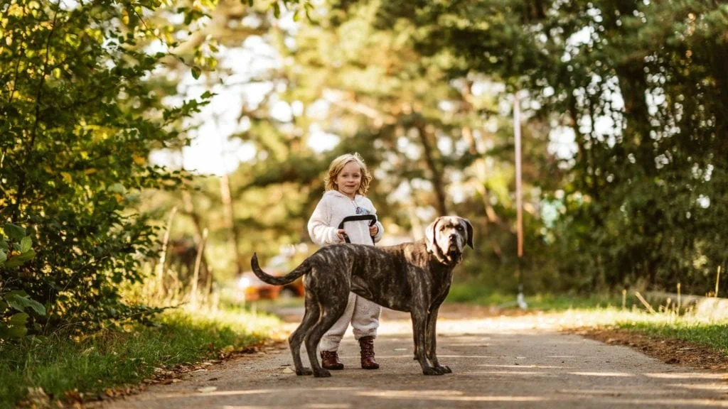DACHZELT CAMP Altmühltal 2018