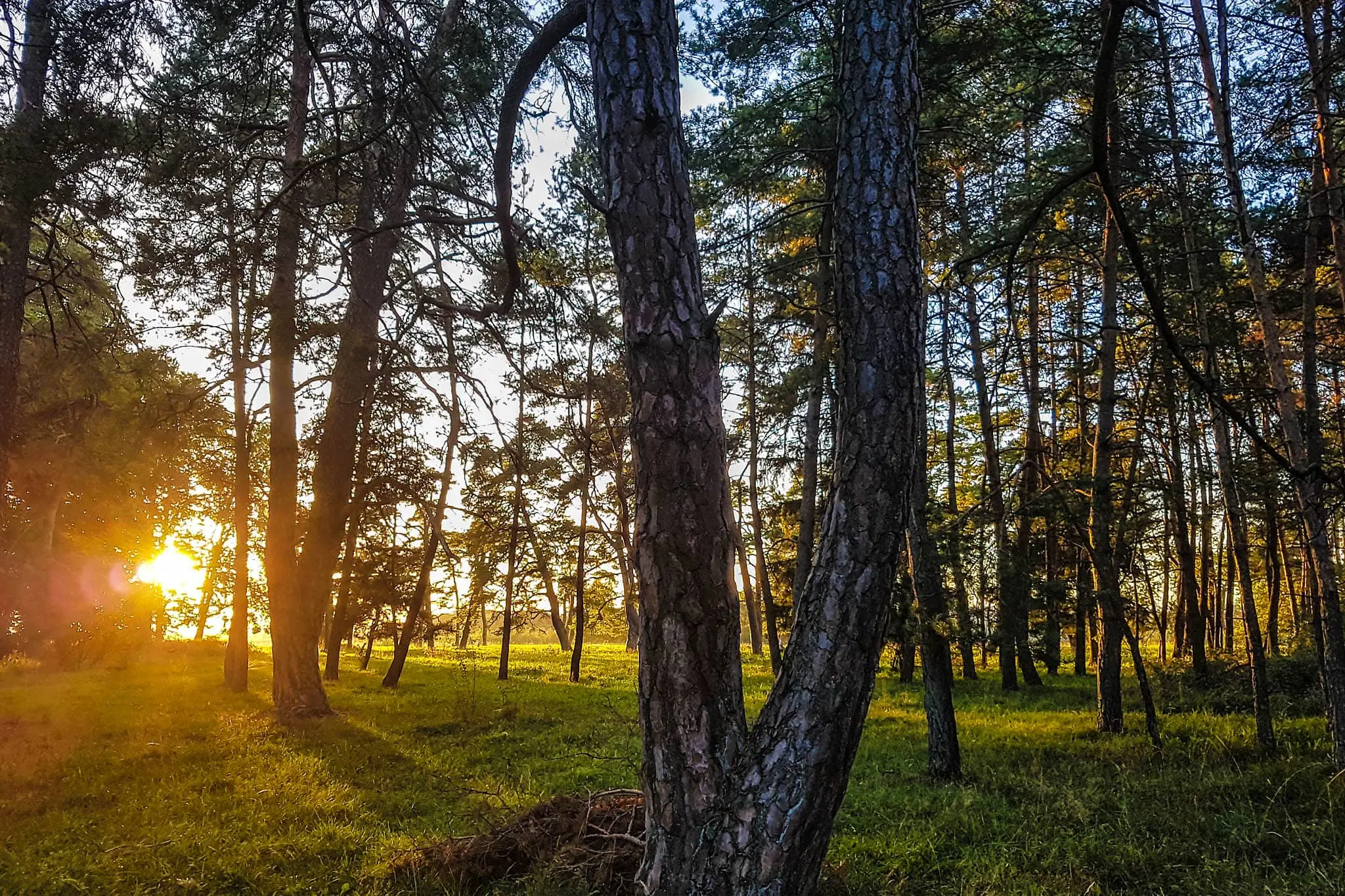 DACHZELT CAMP Altmühltal 2018