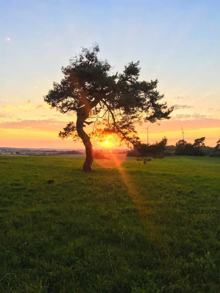 DACHZELT CAMP Altmühltal 2018