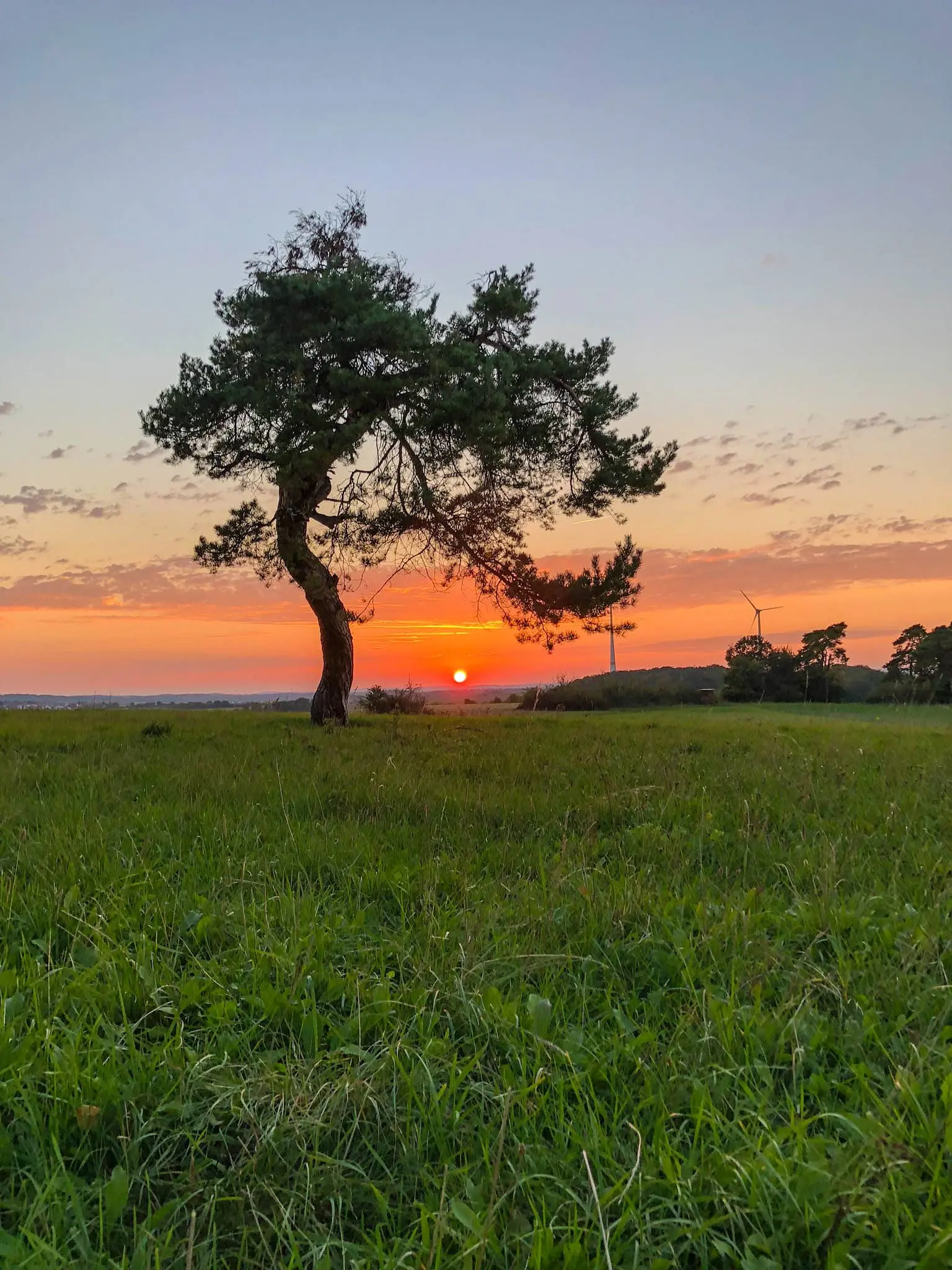 DACHZELT CAMP Altmühltal 2018