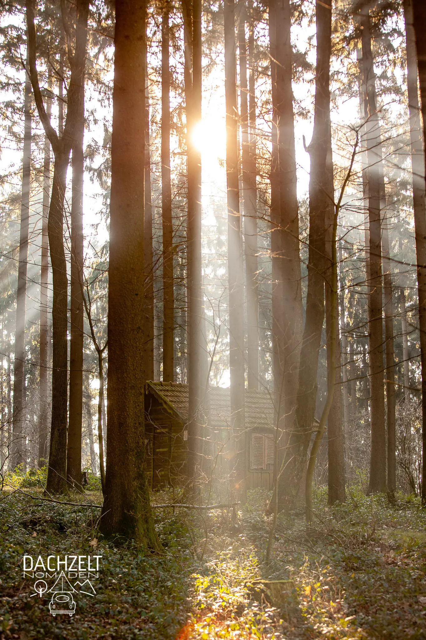 DACHZELT SILVESTER CAMP 2019/ 2020