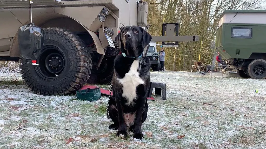 DACHZELT WINTER CAMP 2019