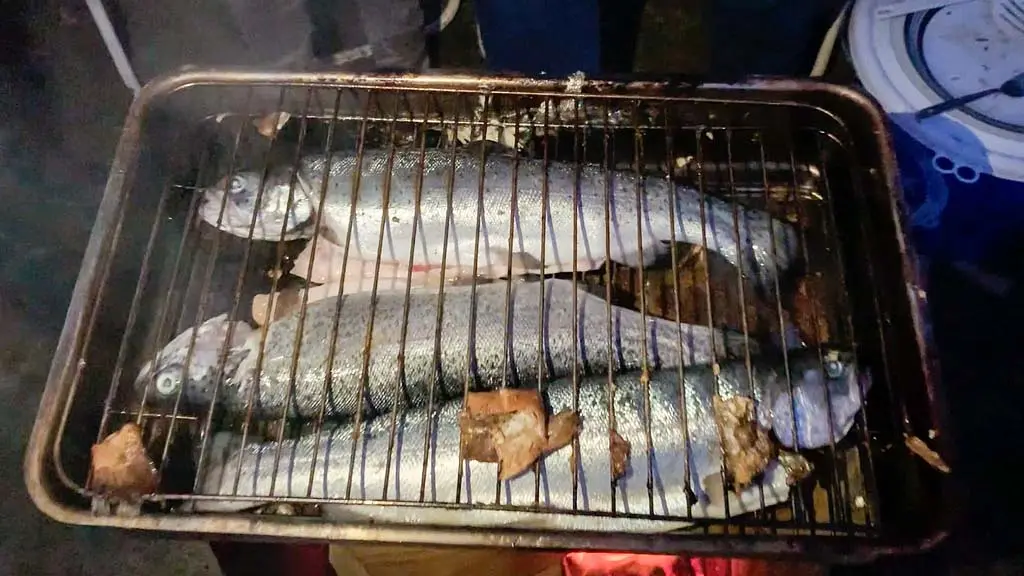 DACHZELT WINTER CAMP 2019