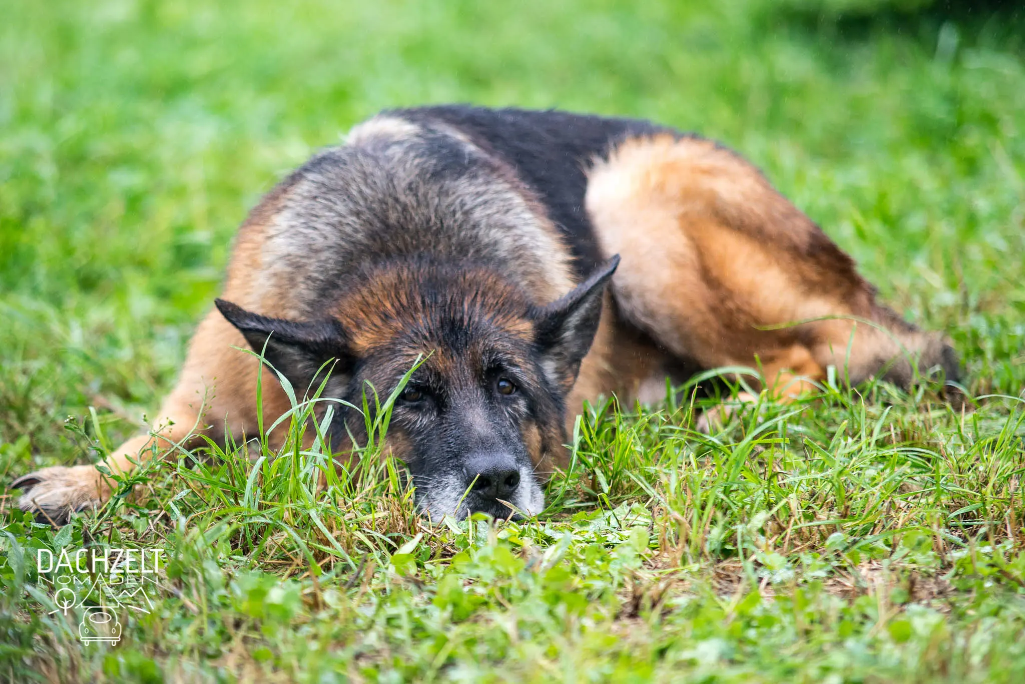 DACHZELT MEETUP Oberbayern 2019