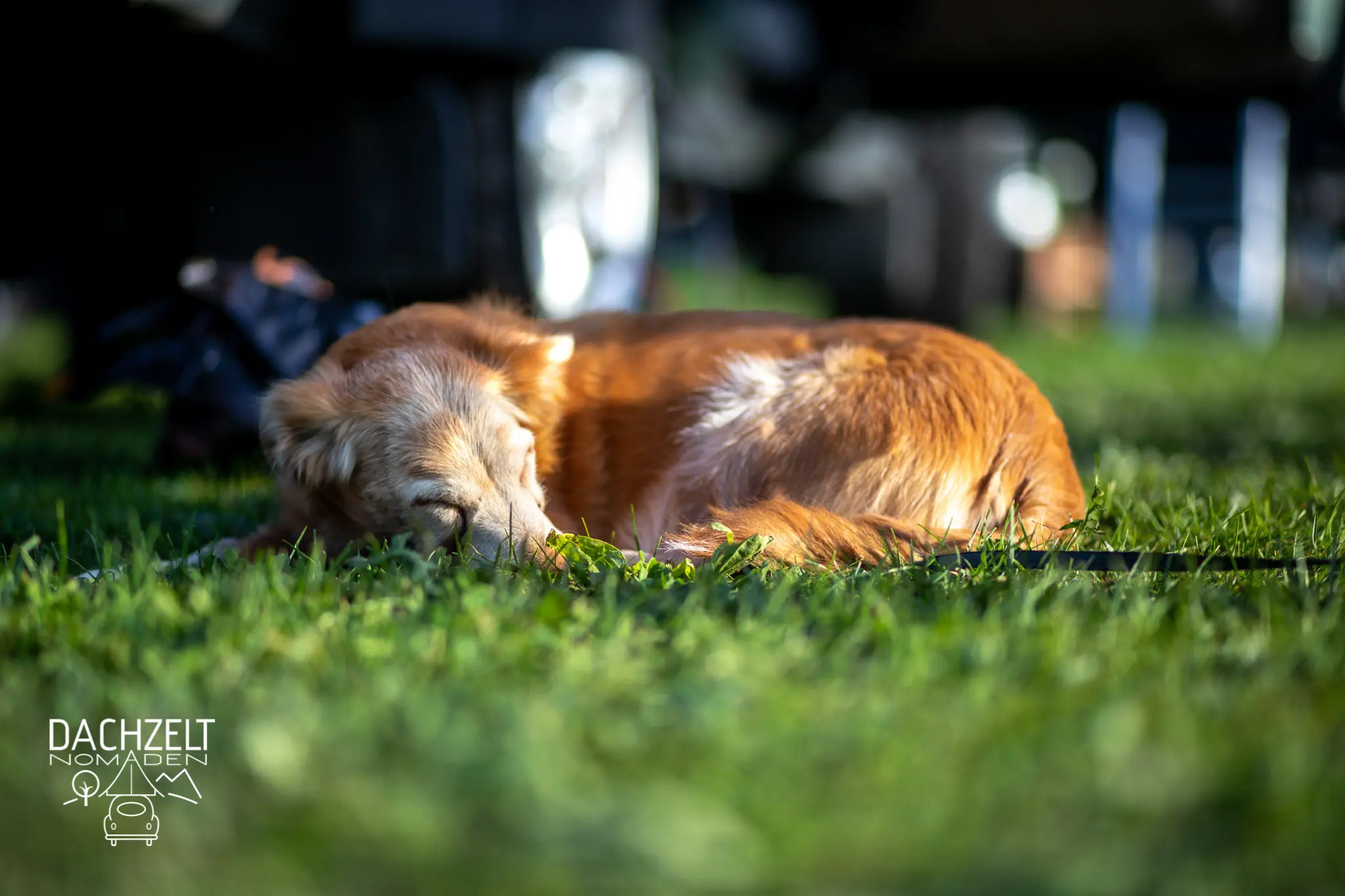 DACHZELT MEETUP Schweiz 2019