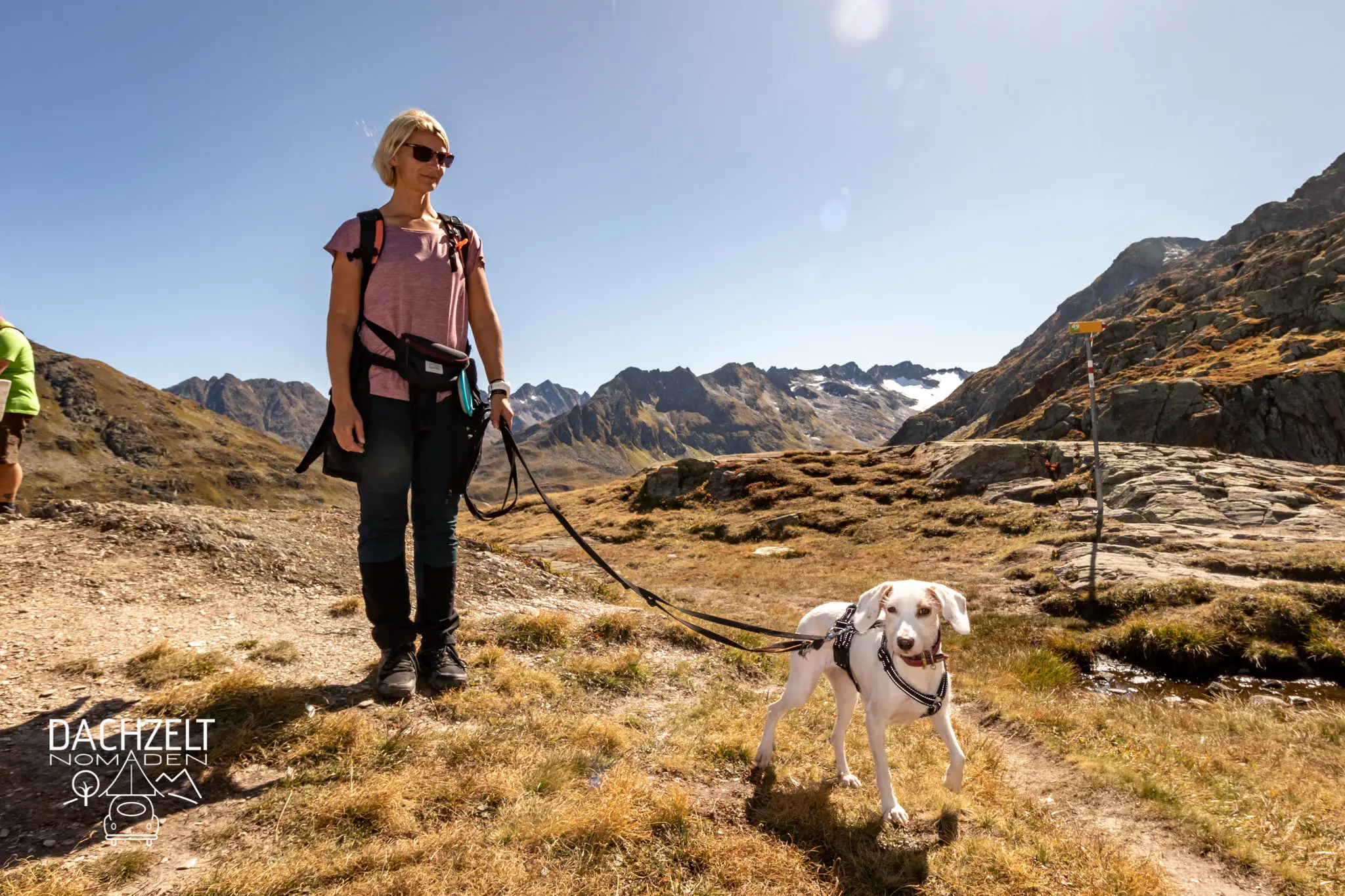 DACHZELT MEETUP Schweiz 2019