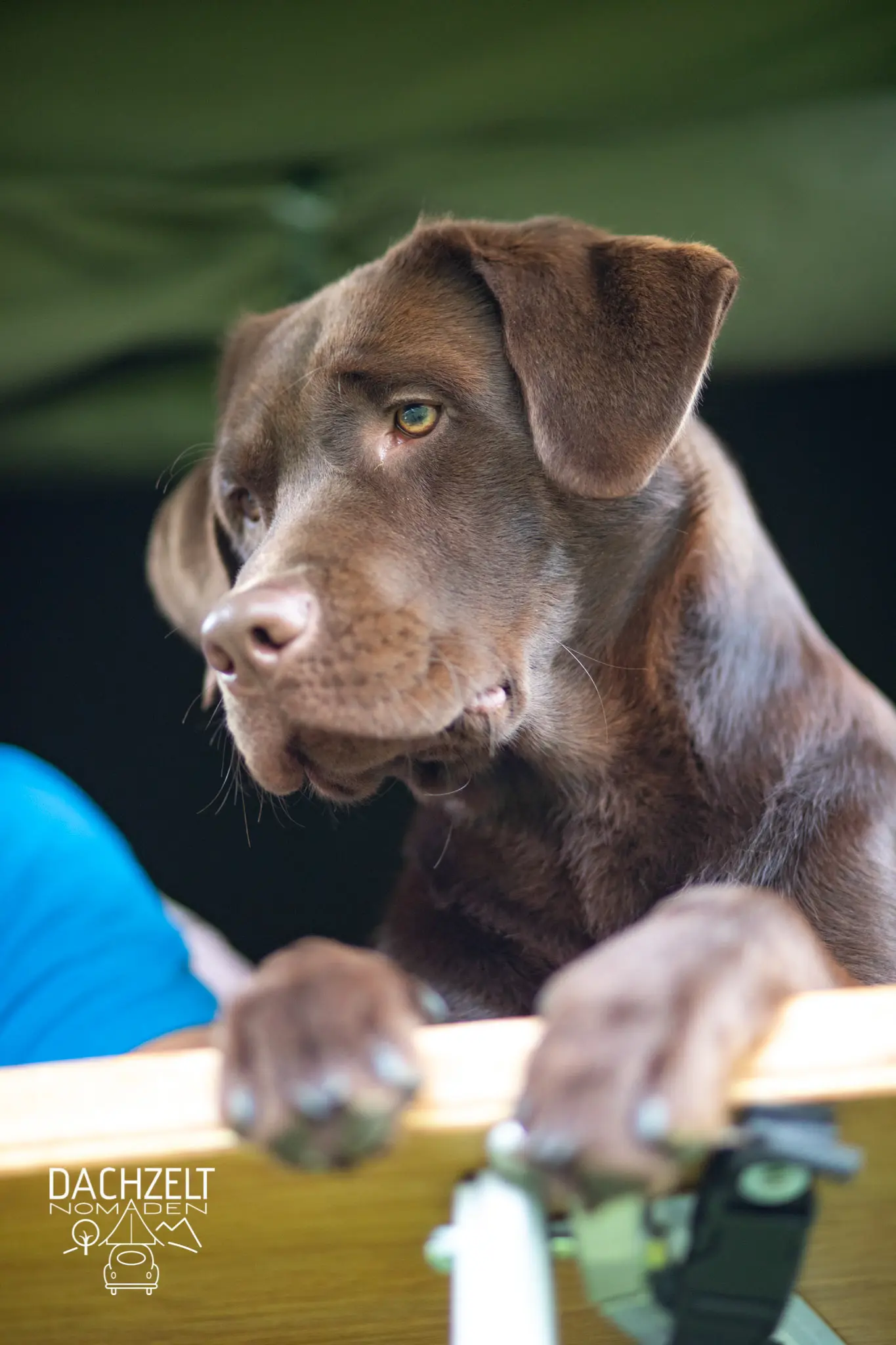 DACHZELT MEETUP Schweiz 2019