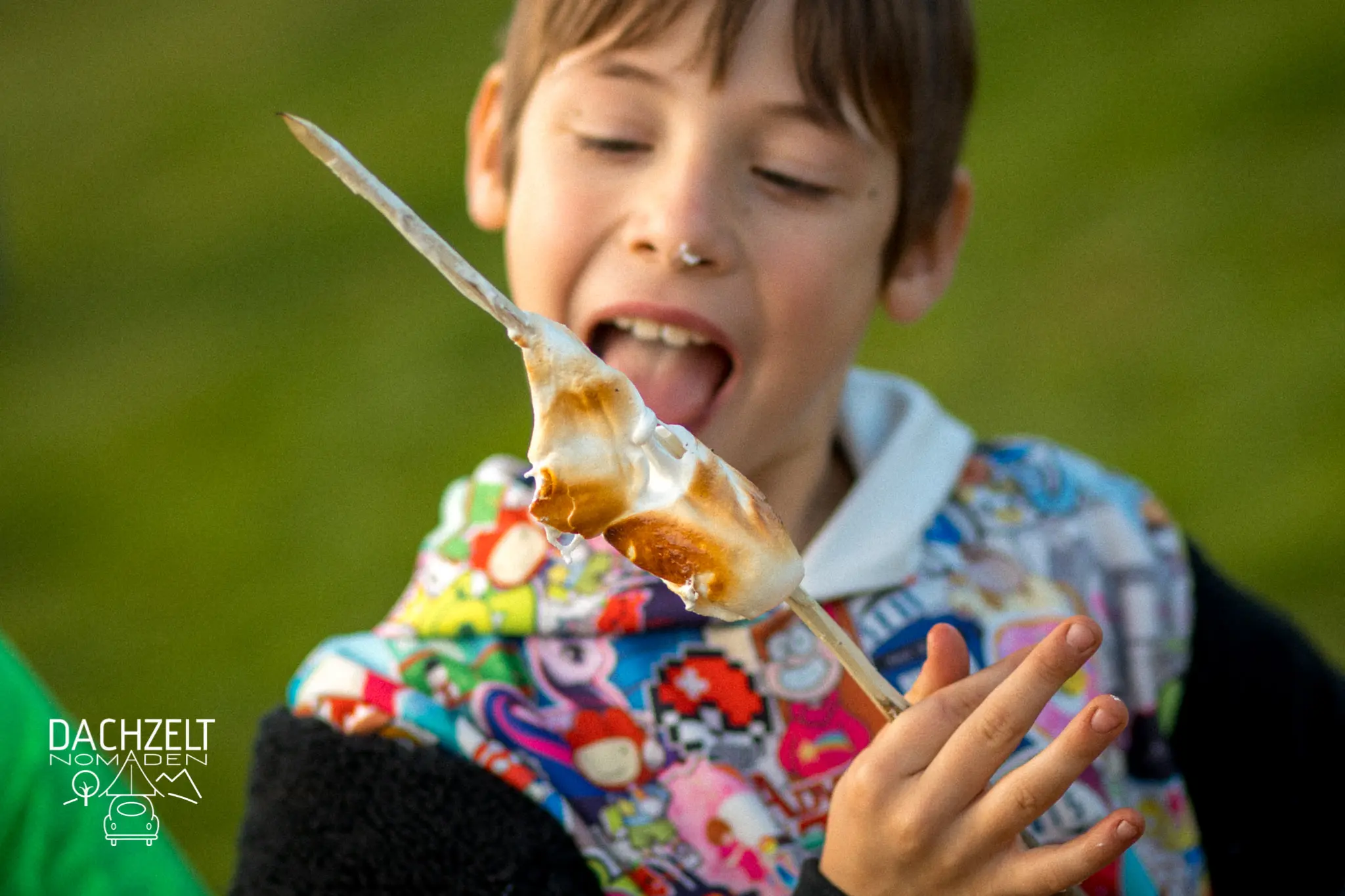 DACHZELT CAMP Speciaal 2019