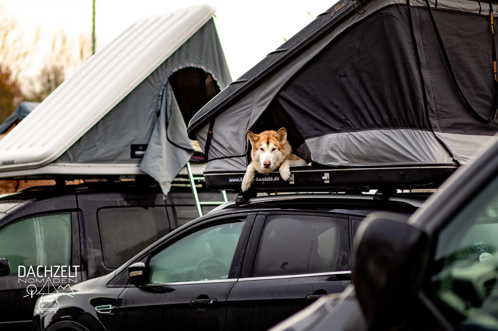 DACHZELT MEETUP Nordhessen 2019