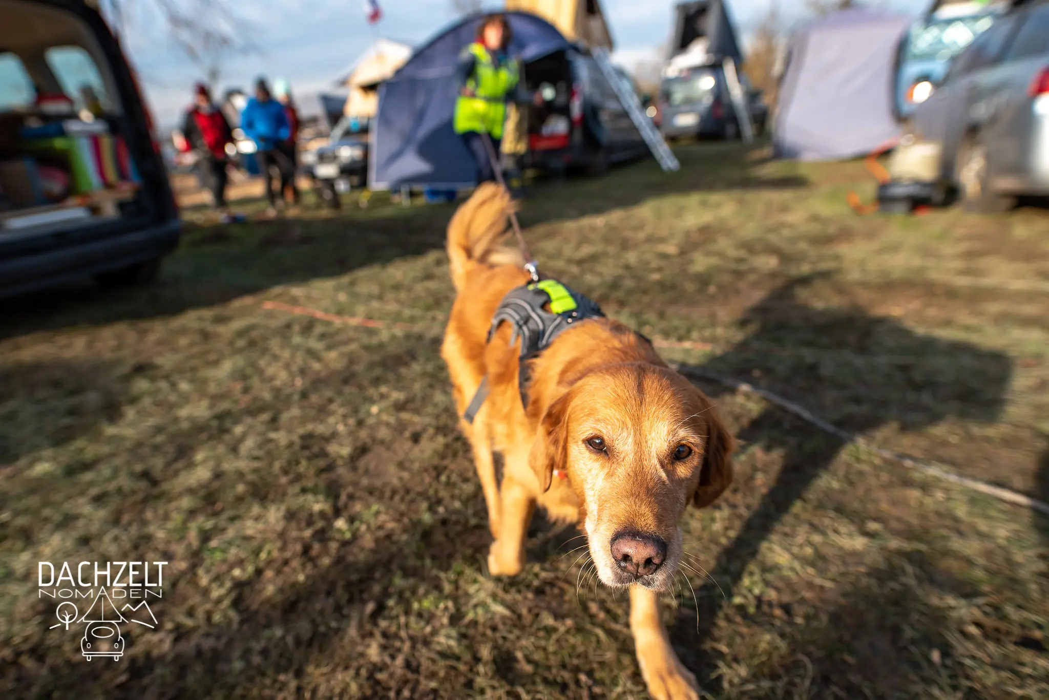 DACHZELT SILVESTER CAMP 2019/ 2020