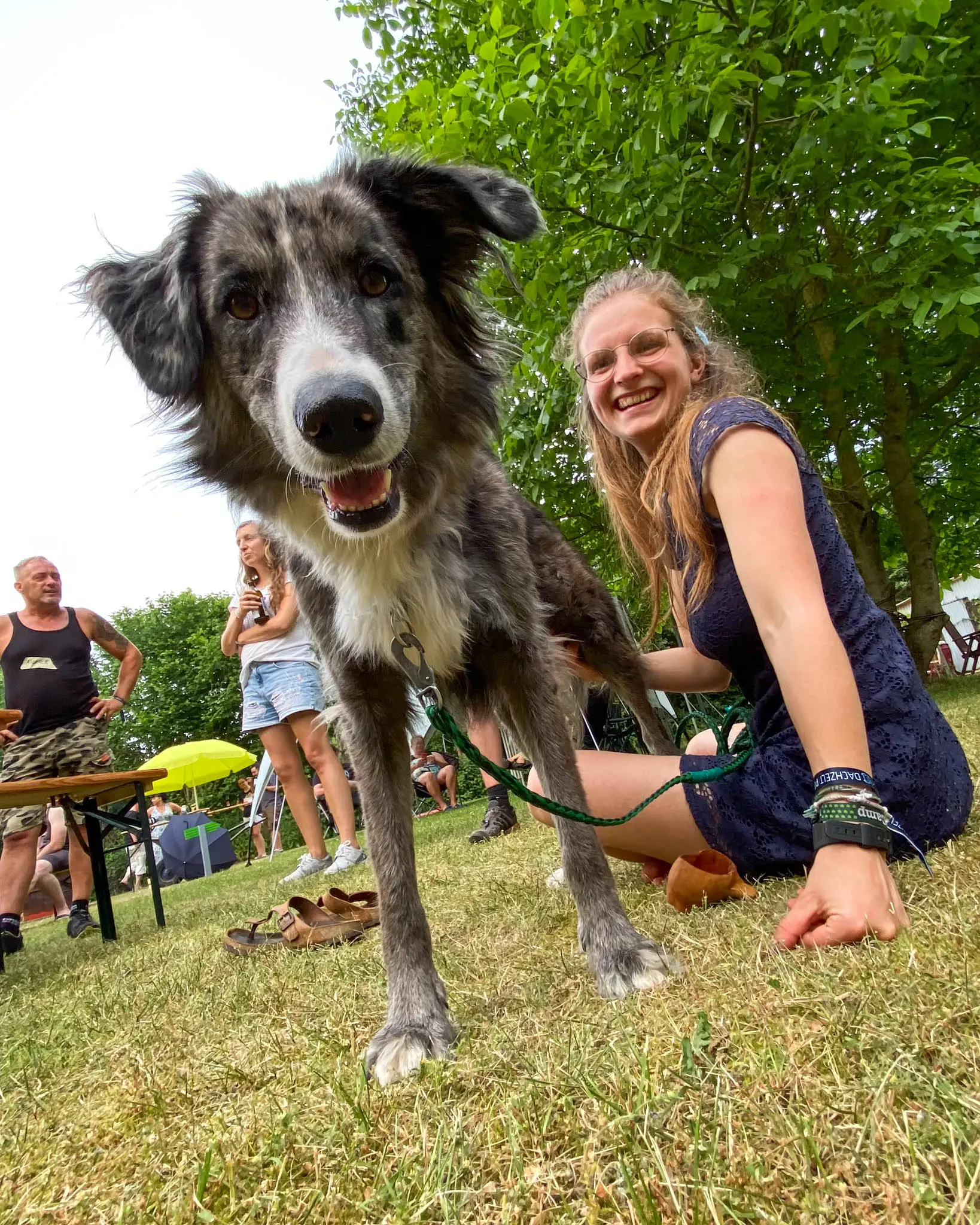 DACHZELT POPUP Heidmühlen 2021