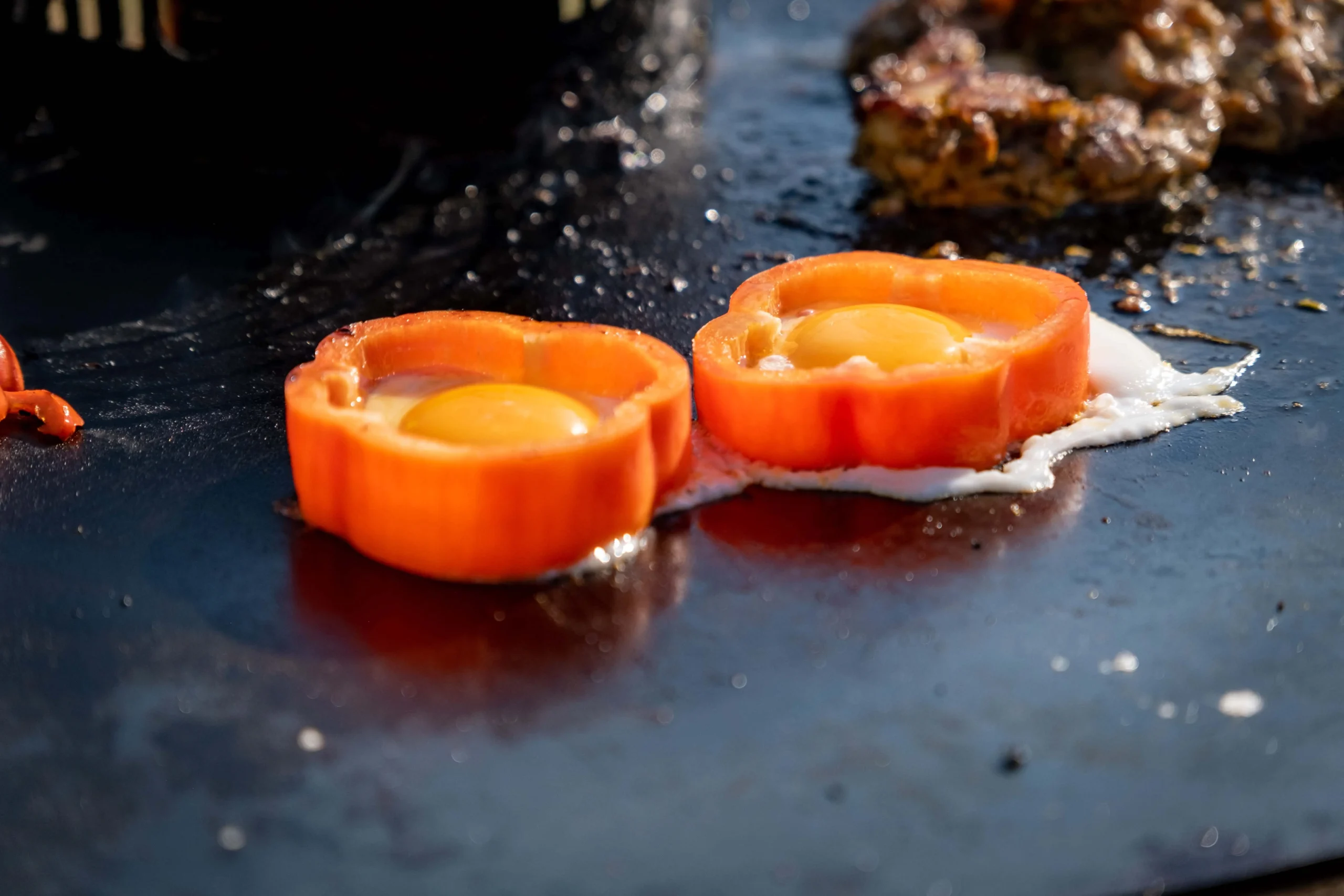 DACHZELT CAMP Bayern 2023