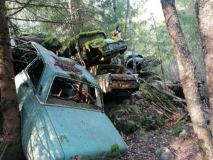 Dachzelt Reise Schweden Autofriedhof