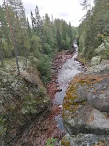 Wanderung in Brattfallet Schweden