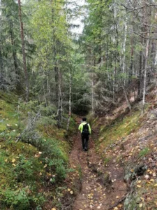 Wanderung in Brattfallet Schweden