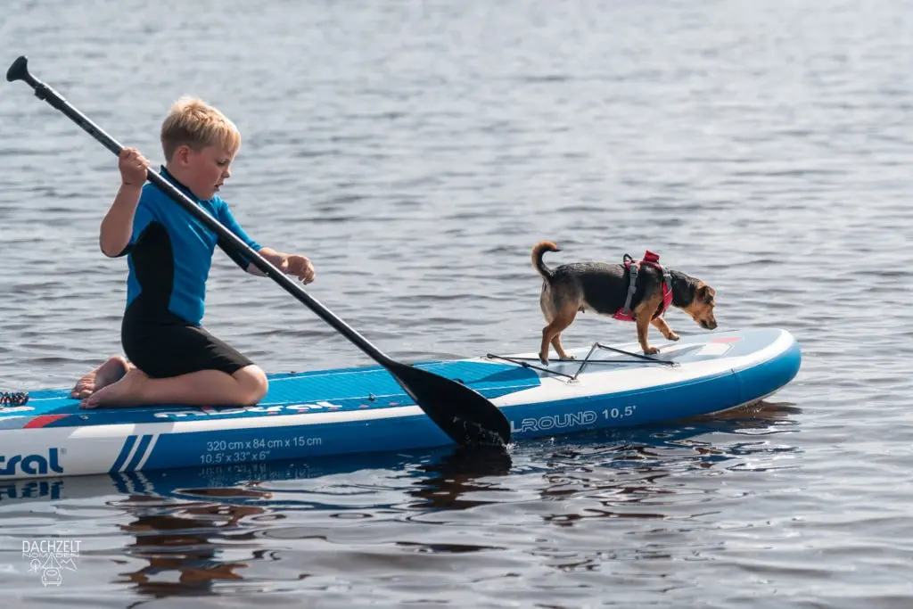 DACHZELT FESTIVAL 2022