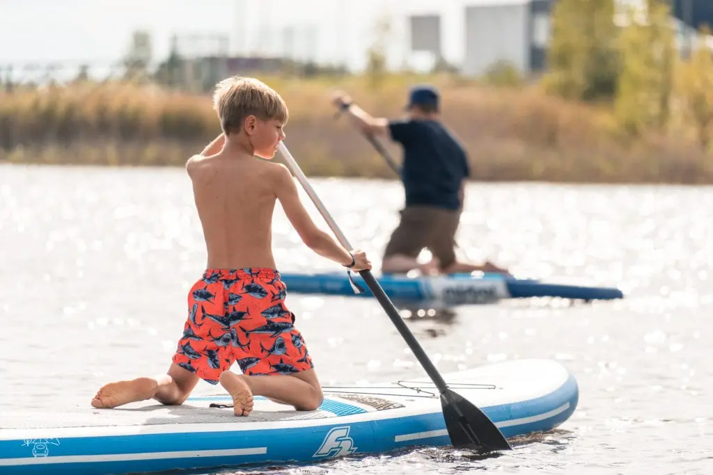 DACHZELT FESTIVAL 2022