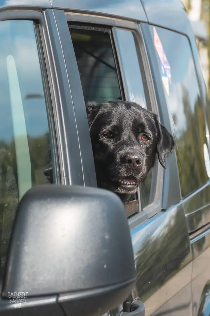 DACHZELT FESTIVAL 2022