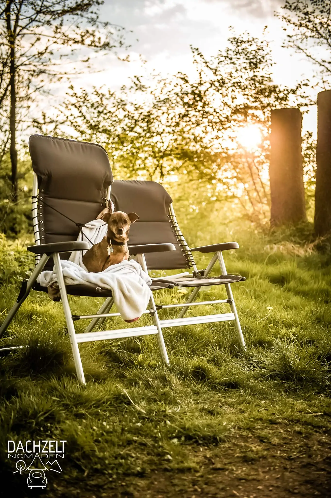 DACHZELT POPUP ALPENROD 2022