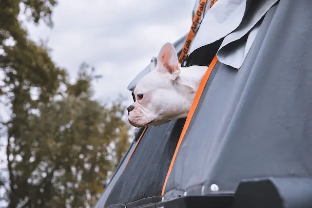 DACHZELT SILVESTER CAMP Portugal 2022/ 2023