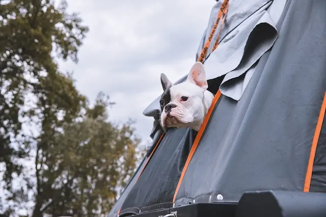 DACHZELT SILVESTER CAMP Portugal 2022/ 2023