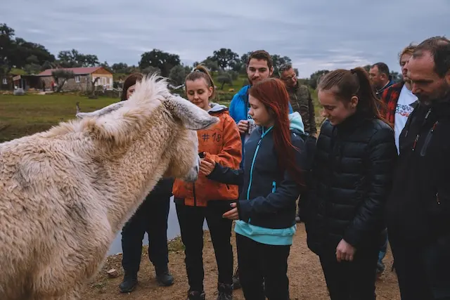 DACHZELT SILVESTER CAMP 2022/ 2023