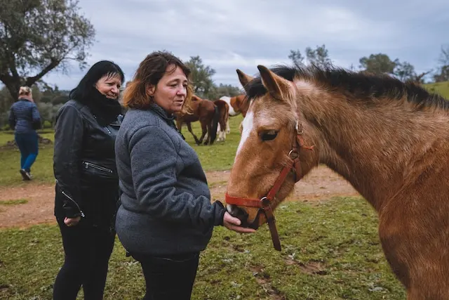 DACHZELT SILVESTER CAMP 2022/ 2023