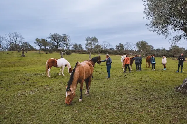 DACHZELT SILVESTER CAMP Portugal 2022/ 2023