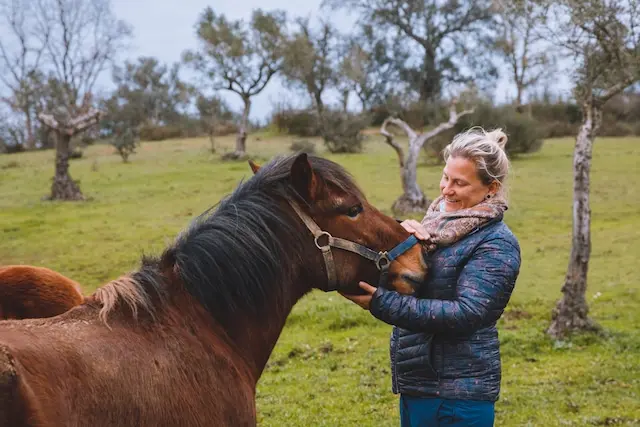 DACHZELT SILVESTER CAMP 2022/ 2023